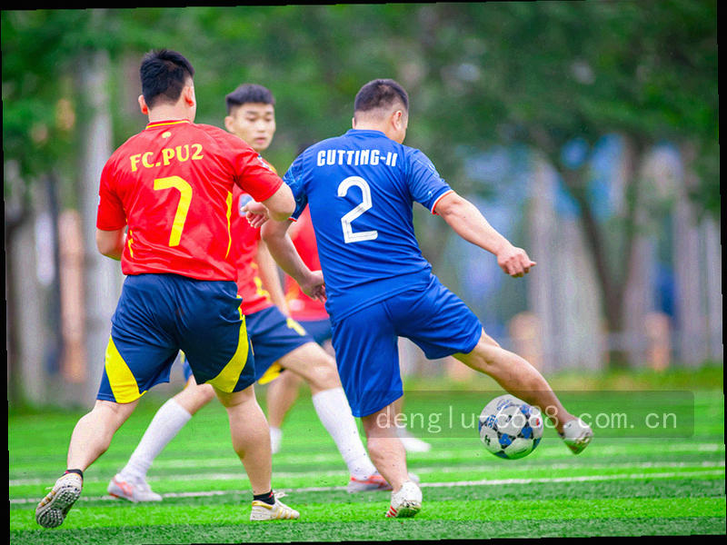 下载完成后的离线图标和播放按钮